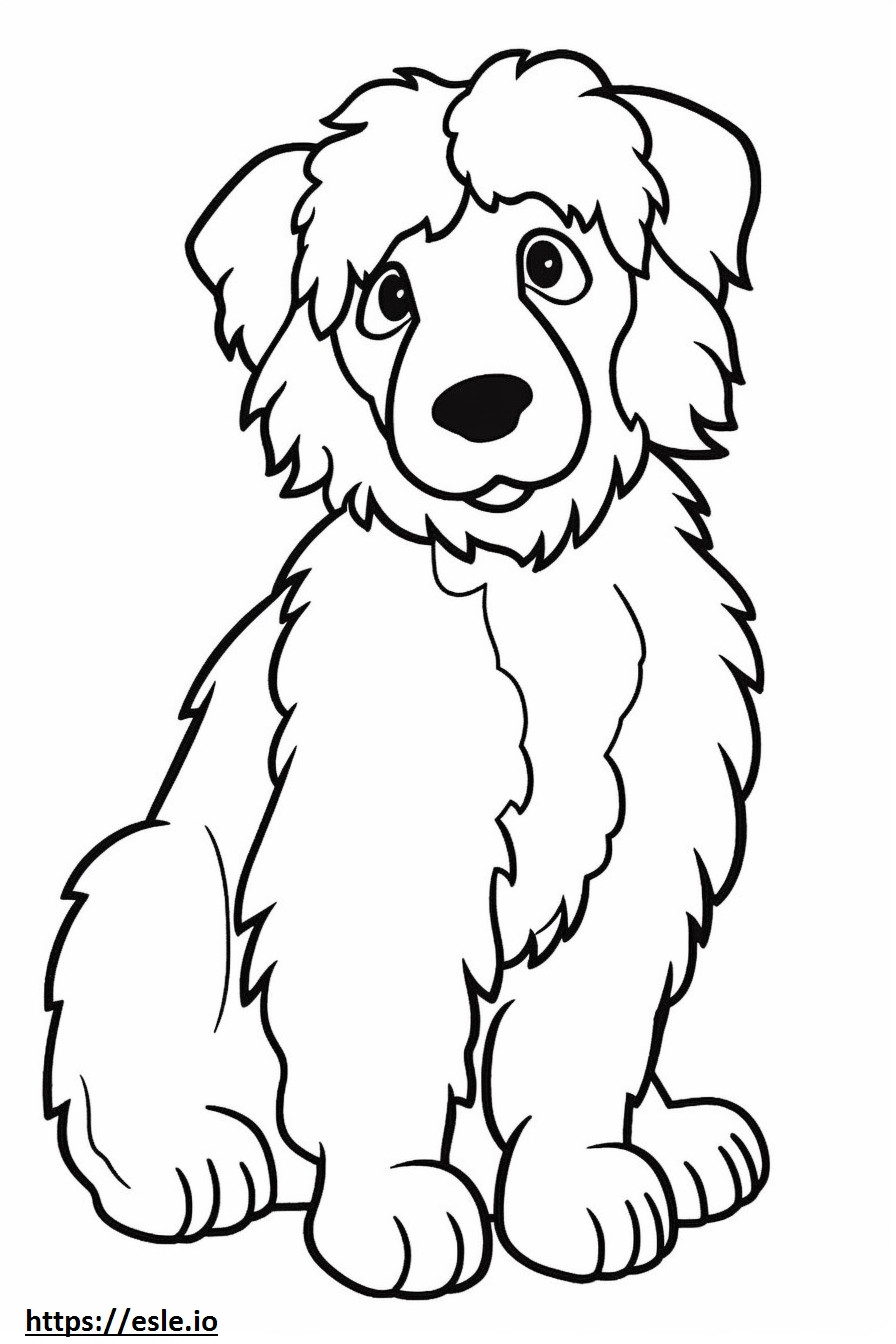 Aussiedoodle cute coloring page