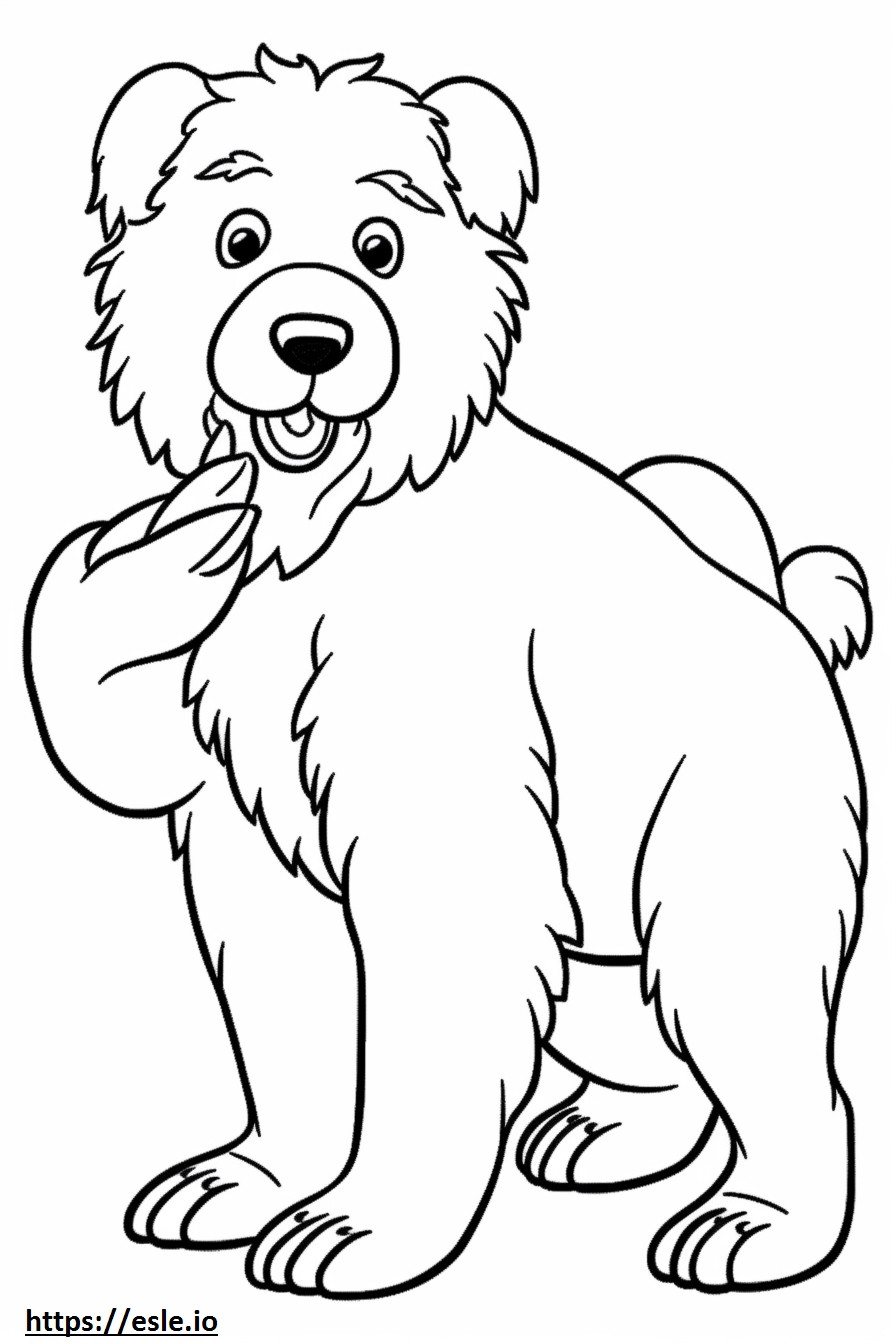 Aussiedoodle Playing coloring page