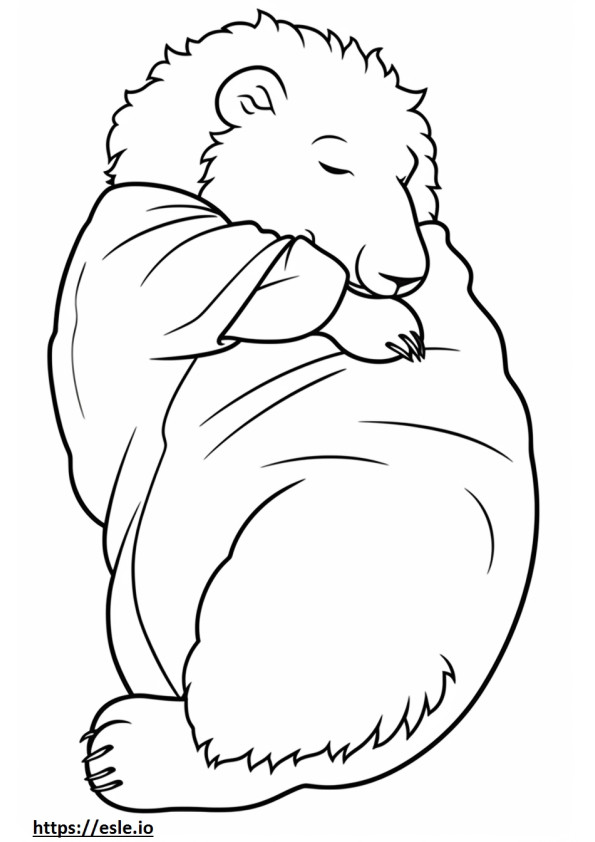 Aussiedoodle Sleeping coloring page
