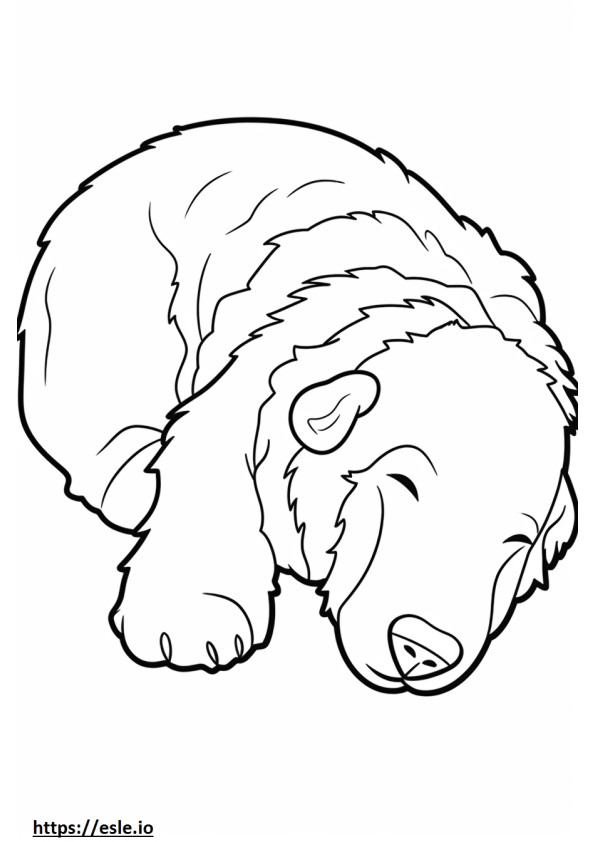 Aussiedoodle Sleeping coloring page