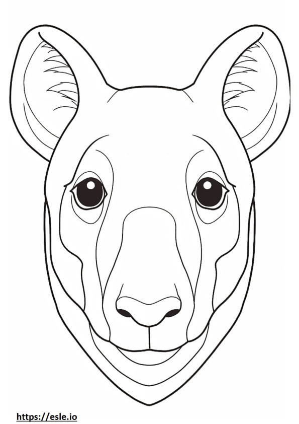 Aussiedor face coloring page