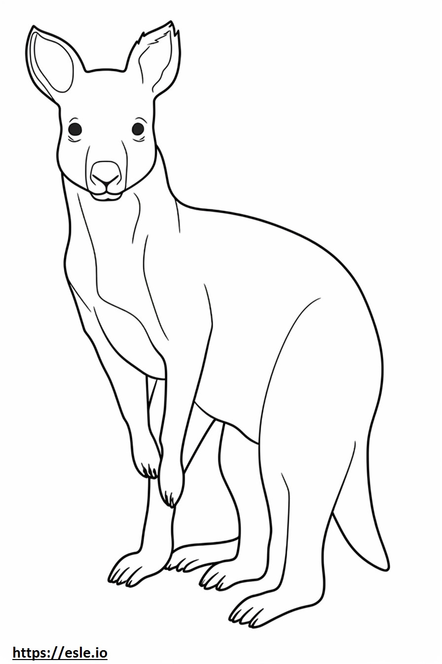 Aussiedor full body coloring page