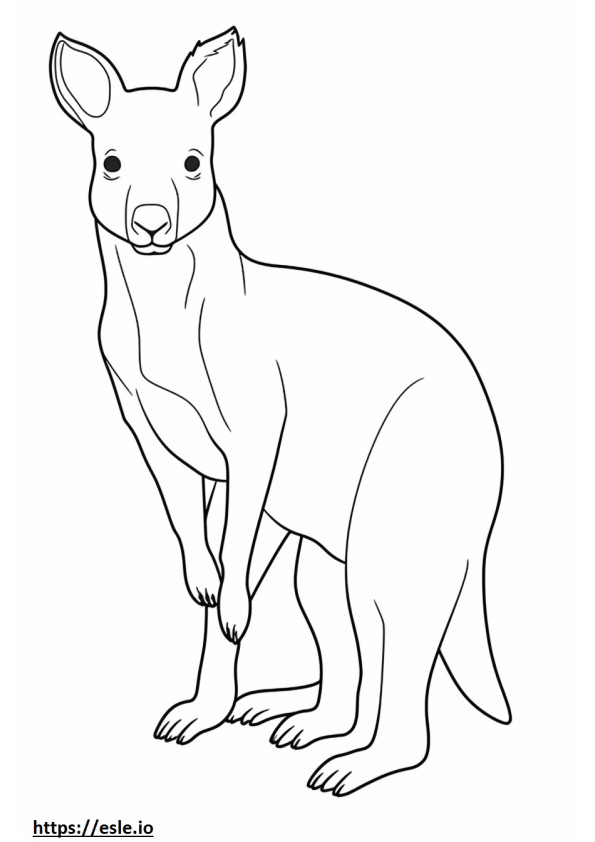 Aussiedor full body coloring page
