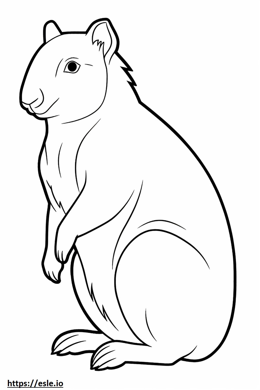 Aussiedor cute coloring page