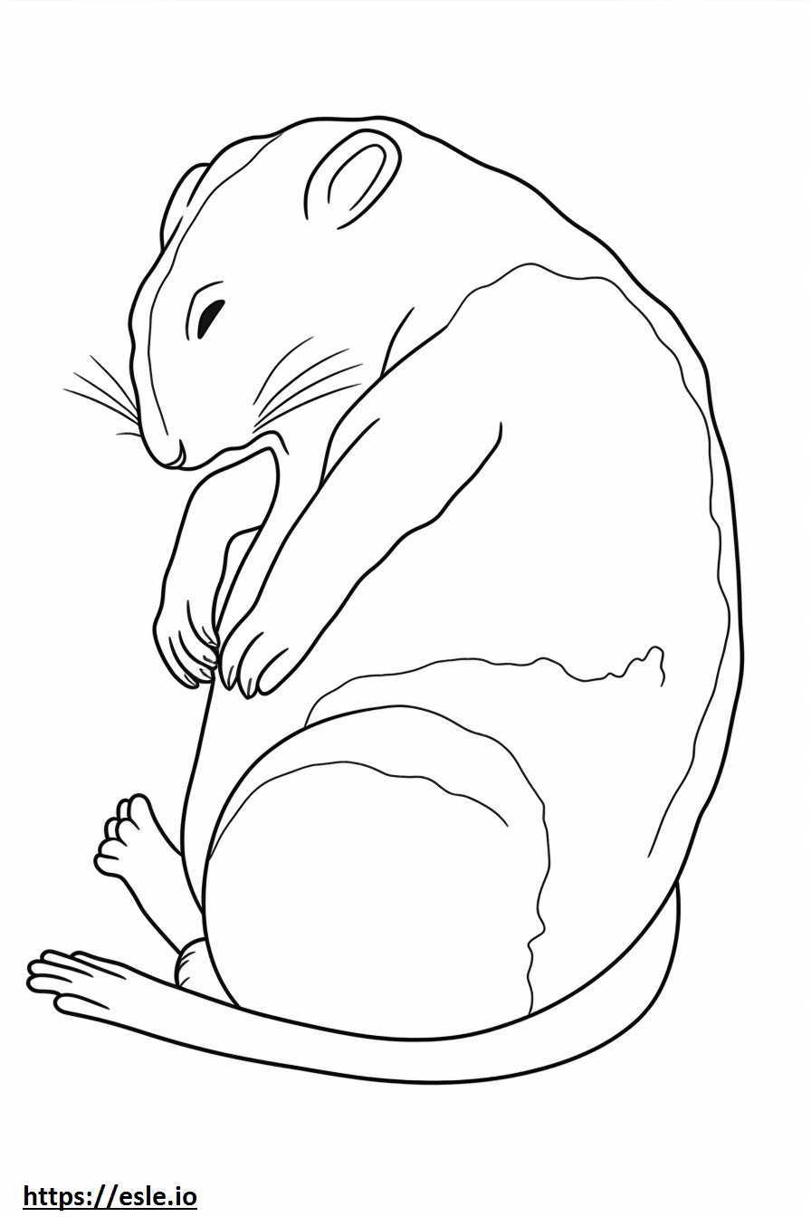 Aussiedor Sleeping coloring page