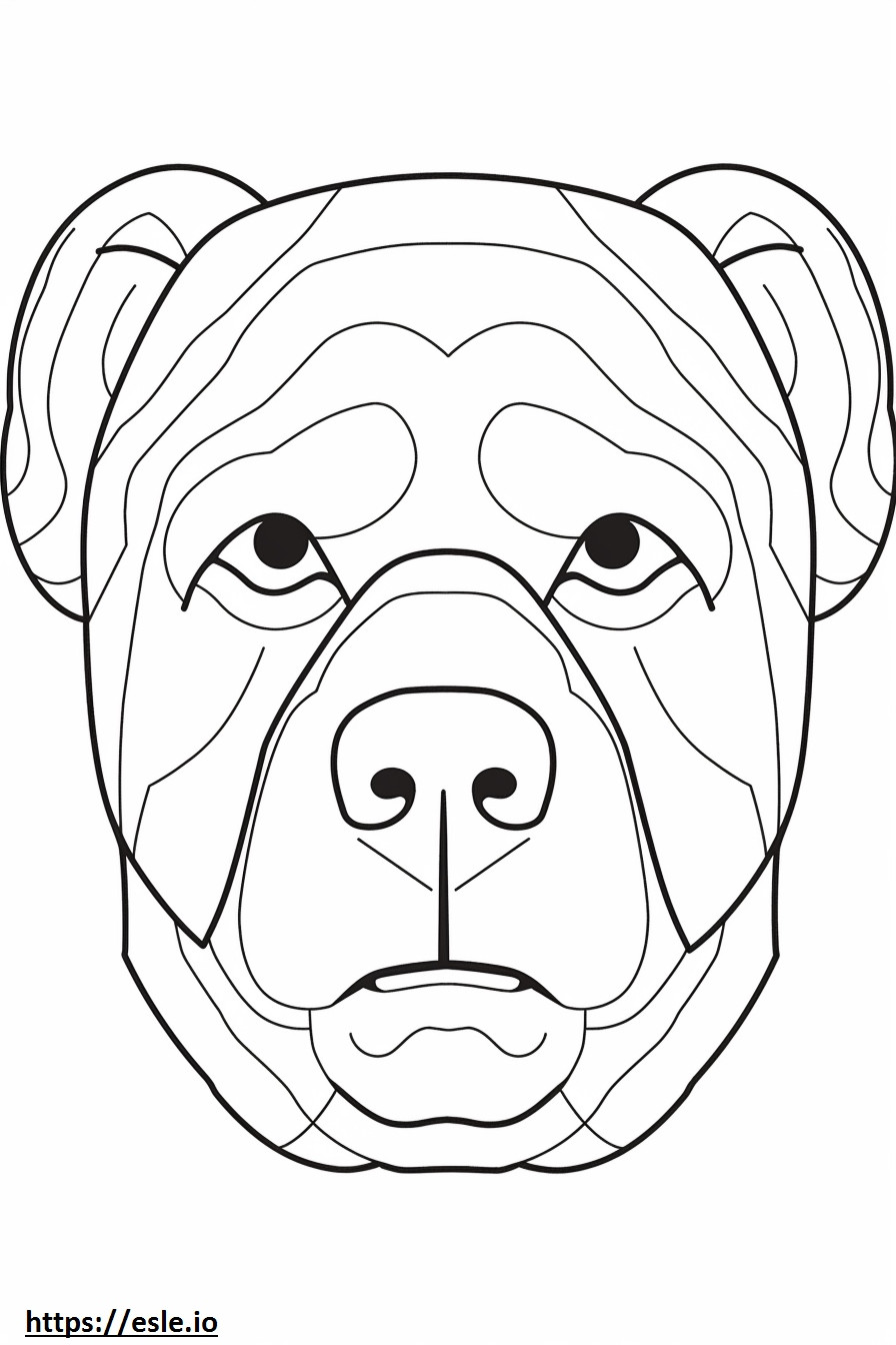 Cara de Bulldog Australiano para colorir