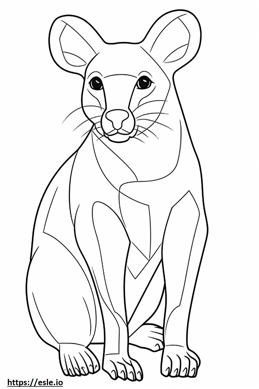 Aussiedor Friendly coloring page
