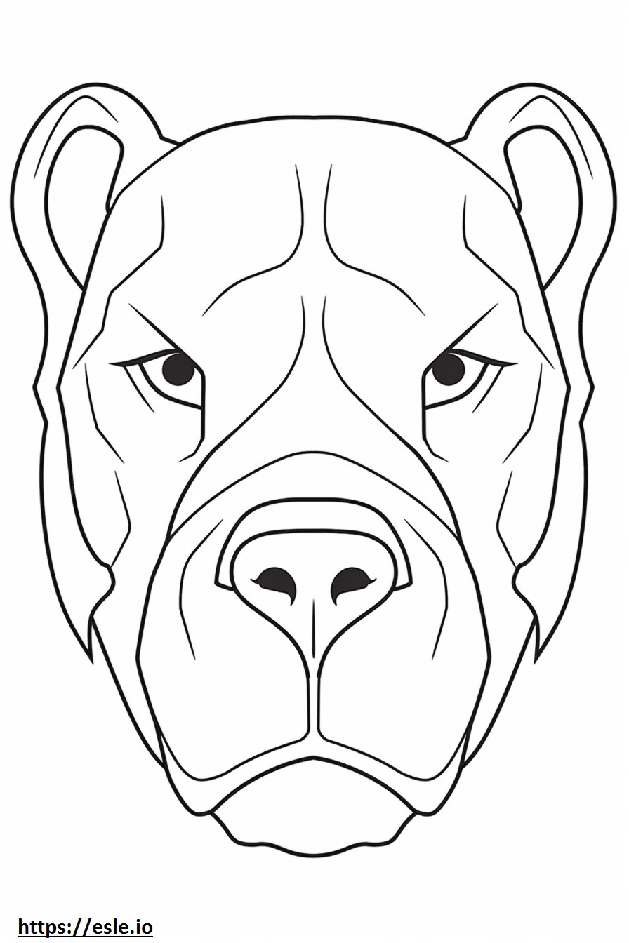 Australianbulldogin kasvot värityskuva