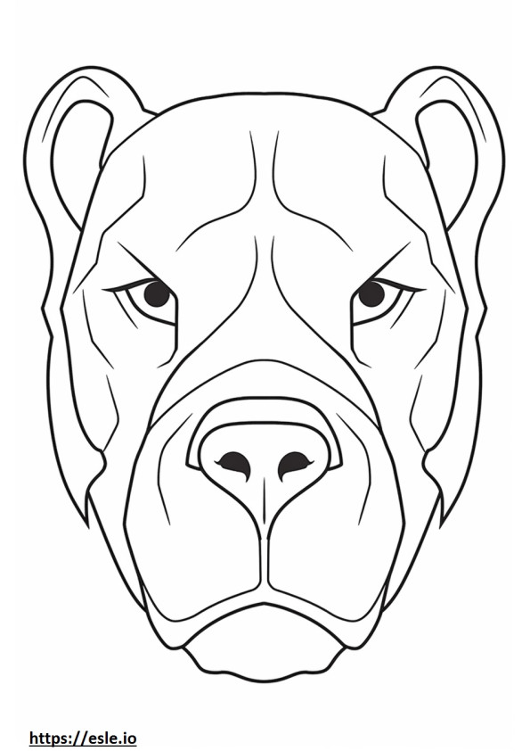 Faccia da Bulldog australiano da colorare