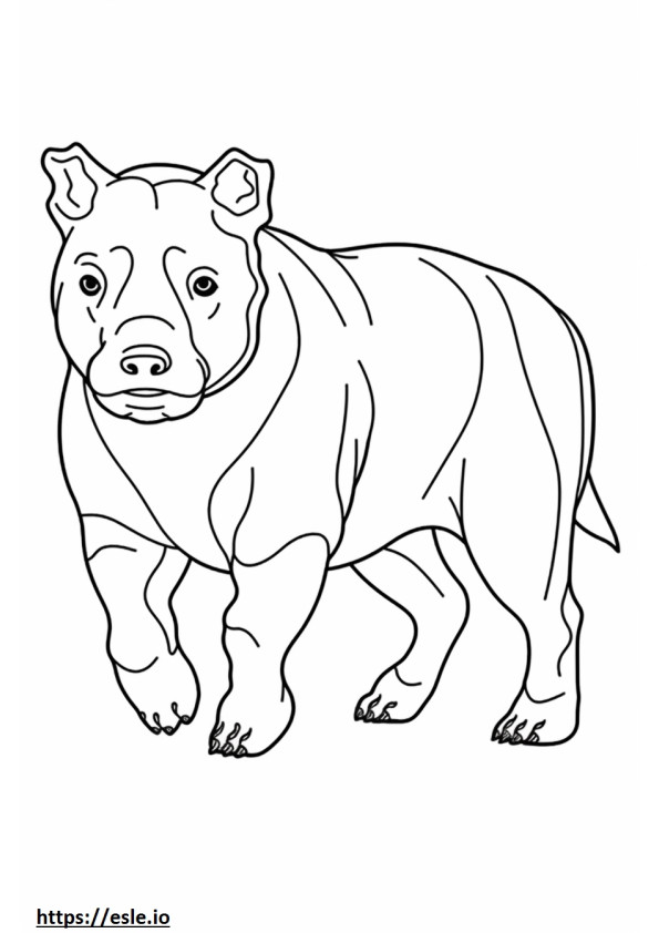 Australian Bulldog baby coloring page