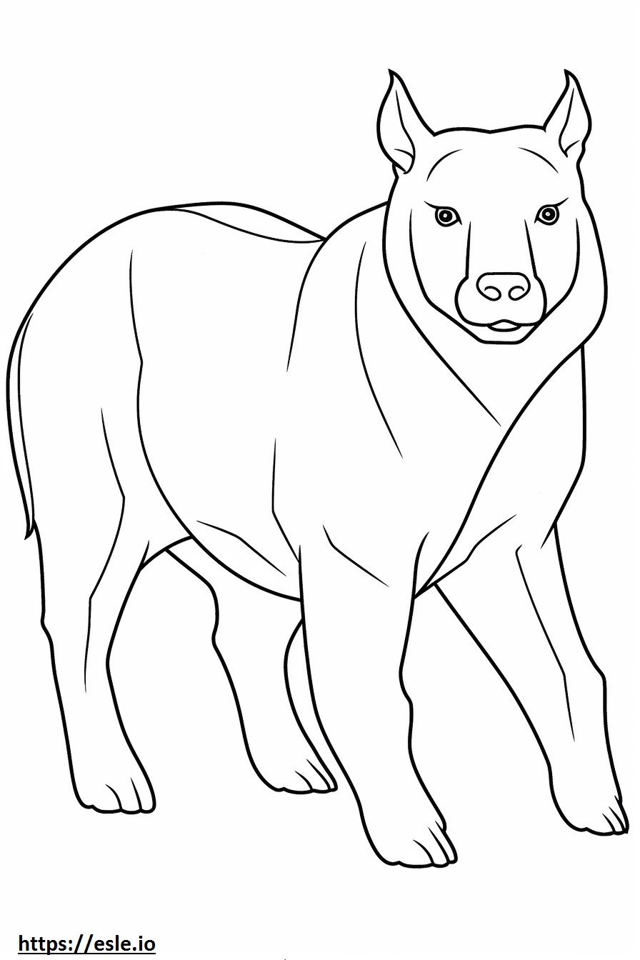 Volledige lichaam van de Australische Bulldog kleurplaat kleurplaat