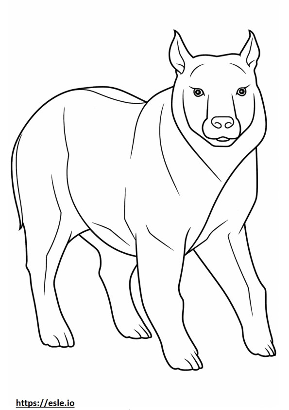 Volledige lichaam van de Australische Bulldog kleurplaat