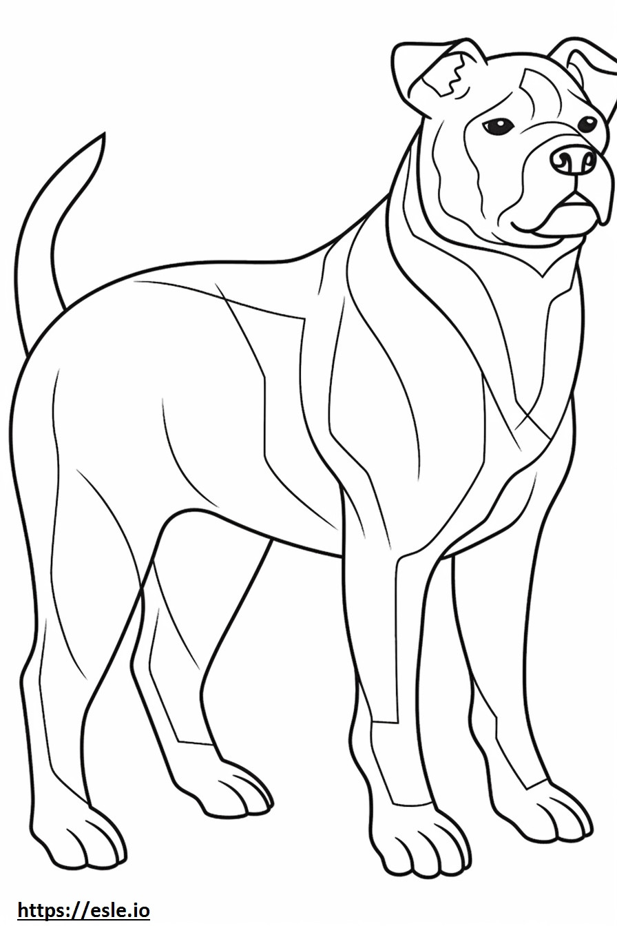 Bulldog australiano a corpo intero da colorare