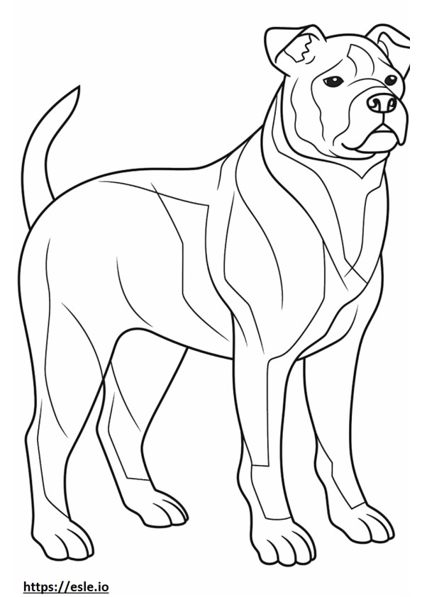 Corpo inteiro do Bulldog Australiano para colorir