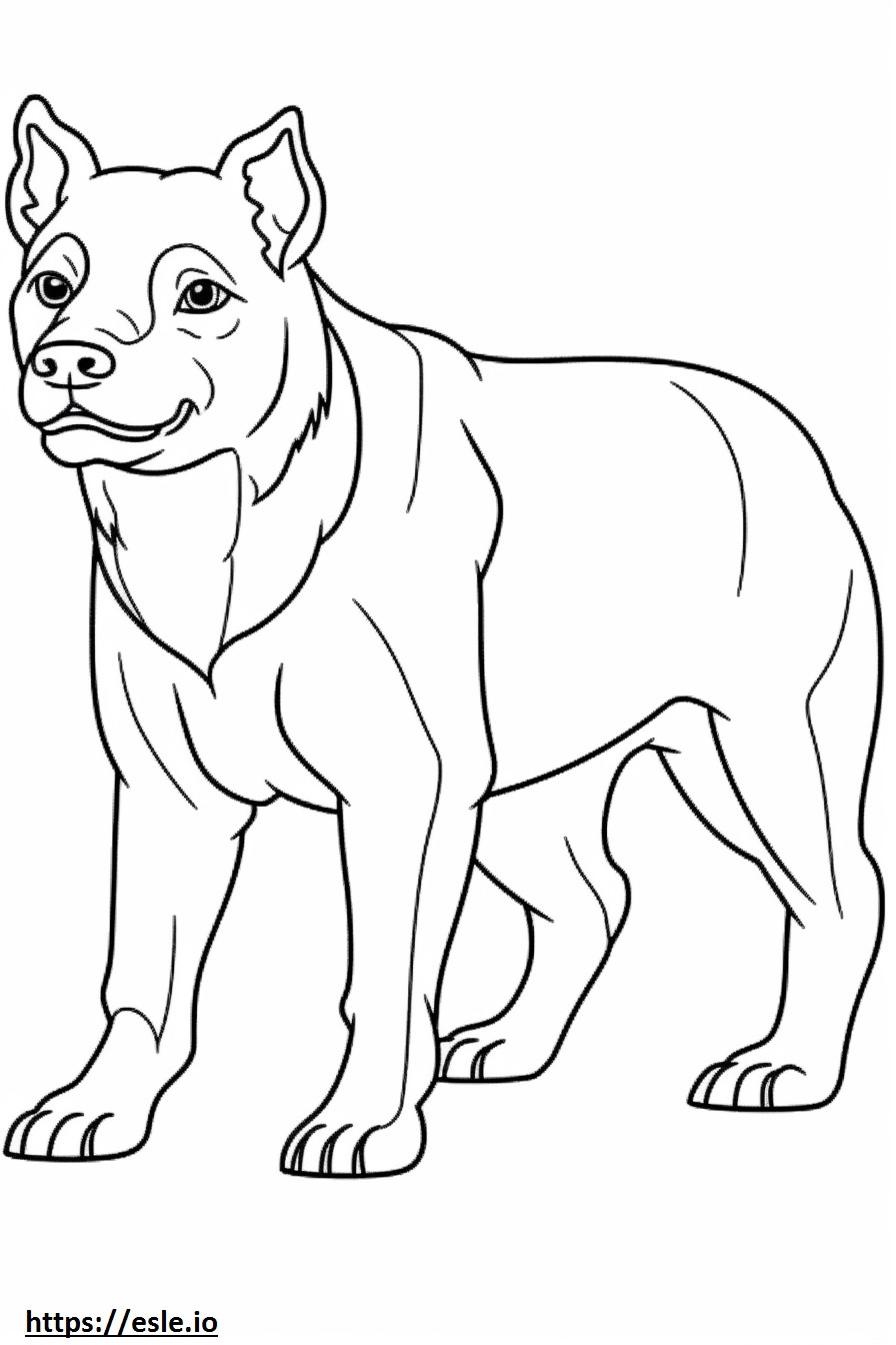 Australian Bulldog cartoon coloring page