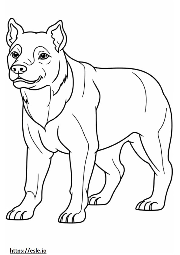 Australische Bulldogge-Cartoon ausmalbild