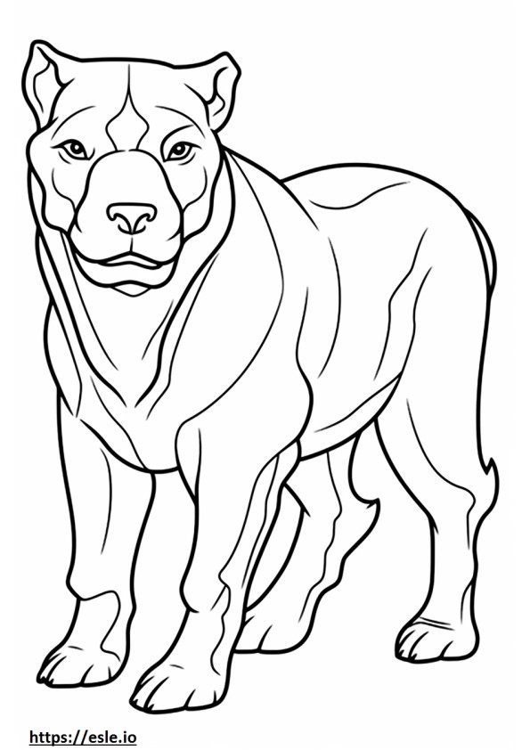 Avustralya Bulldogu sevimli boyama