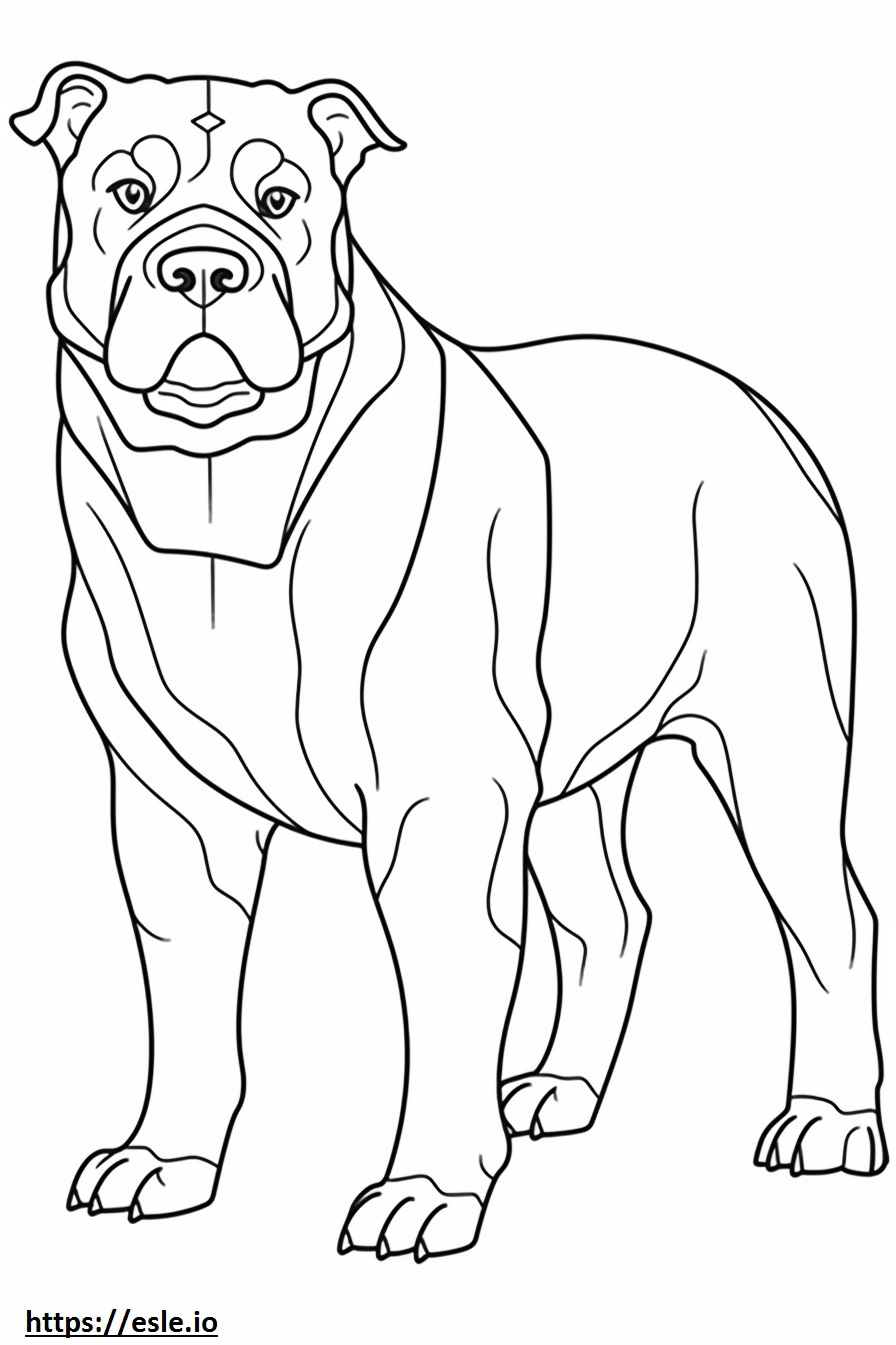 Bulldog australiano carino da colorare