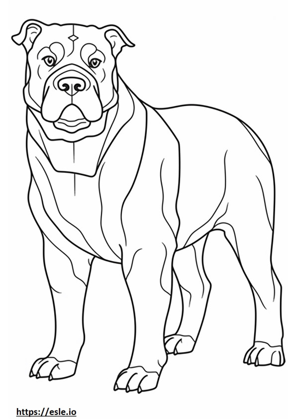 Bulldog australiano lindo para colorear e imprimir
