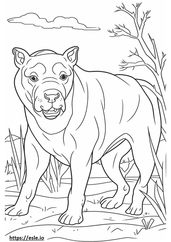 Australian Bulldog happy coloring page