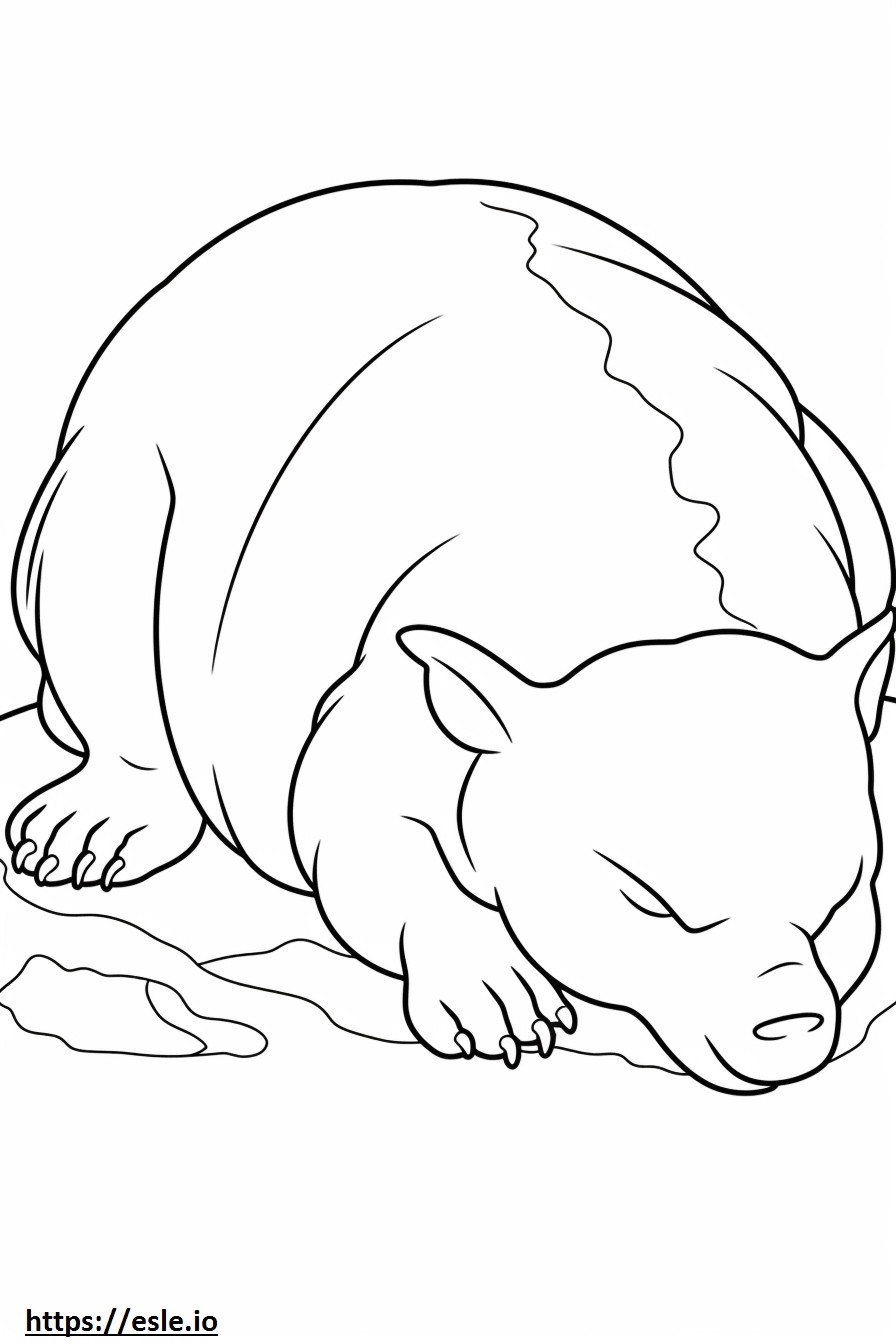 Australian Bulldog Sleeping coloring page