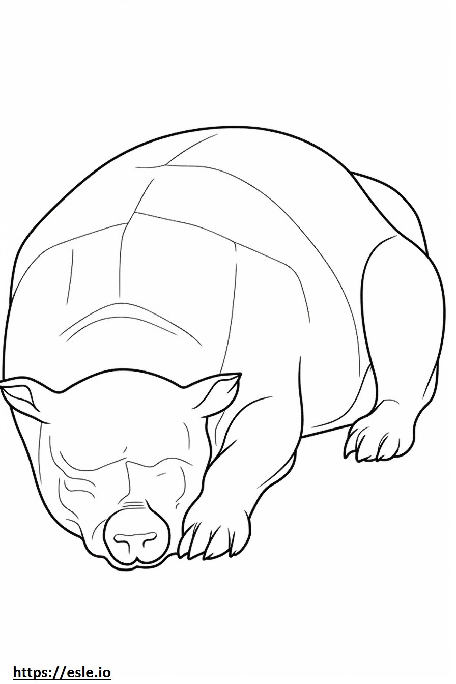 Australische Bulldogge schläft ausmalbild