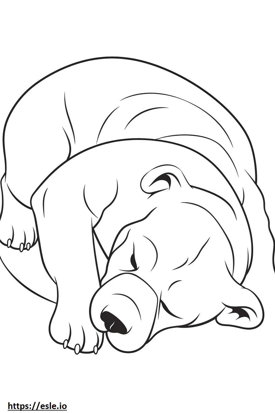 Australianbulldoggi nukkuu värityskuva