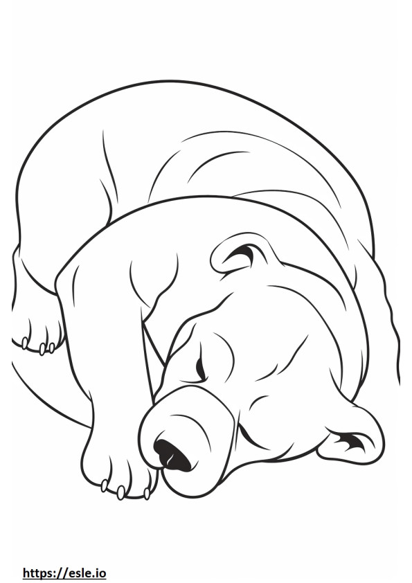 Australische Bulldogge schläft ausmalbild