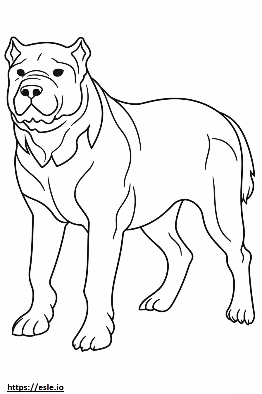 Australian Bulldog Playing coloring page