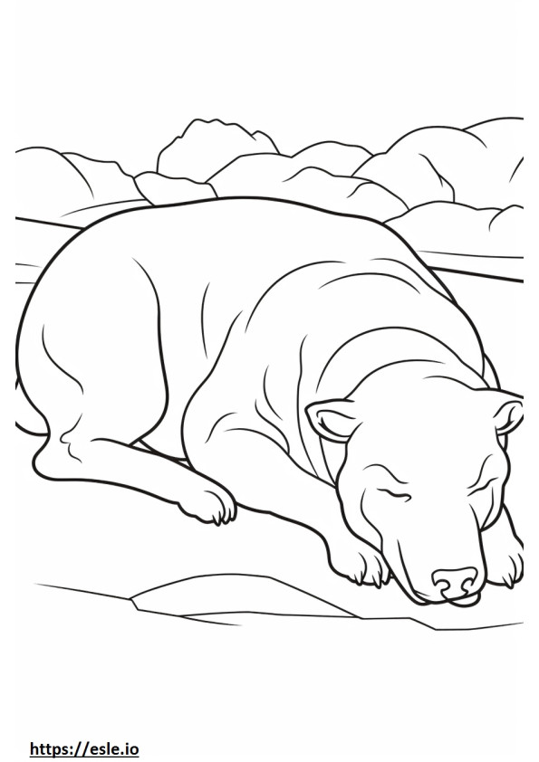 Australianbulldoggi nukkuu värityskuva