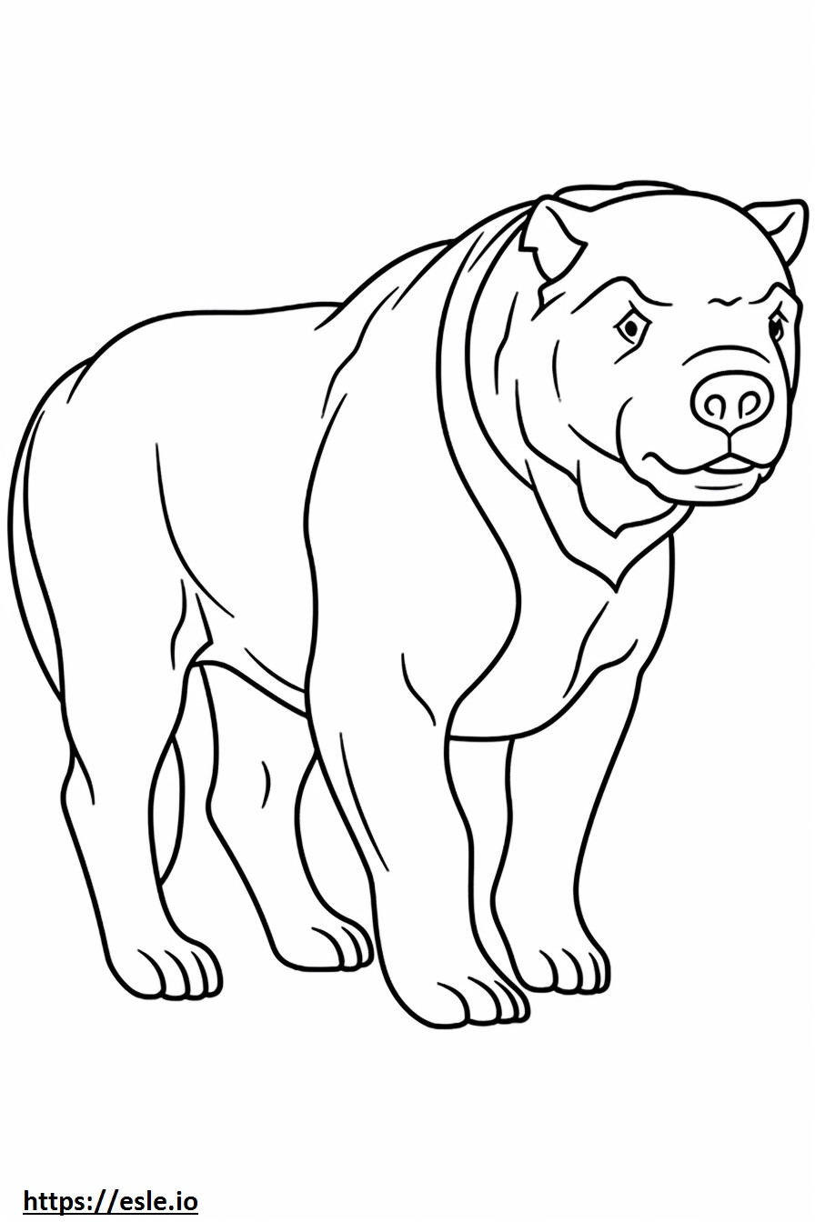 Australian Bulldog Playing coloring page