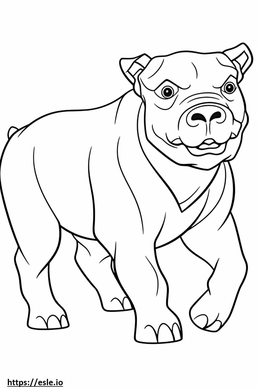 Brincando com Bulldog Australiano para colorir