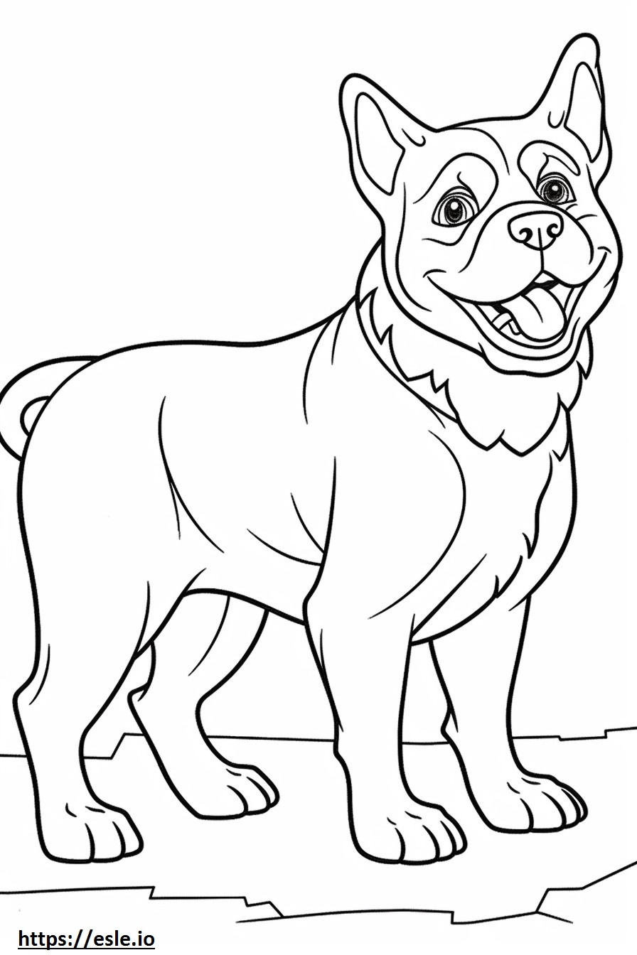 Bulldog australiano jugando para colorear e imprimir