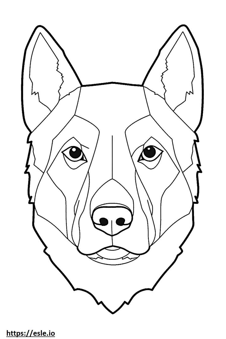 Cara de perro pastor australiano para colorear e imprimir