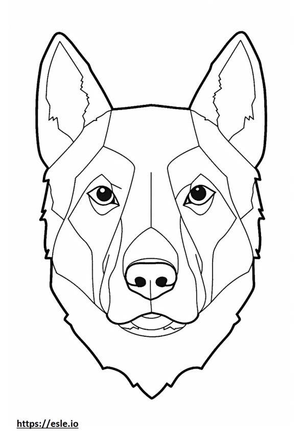 Cara de cão de gado australiano para colorir