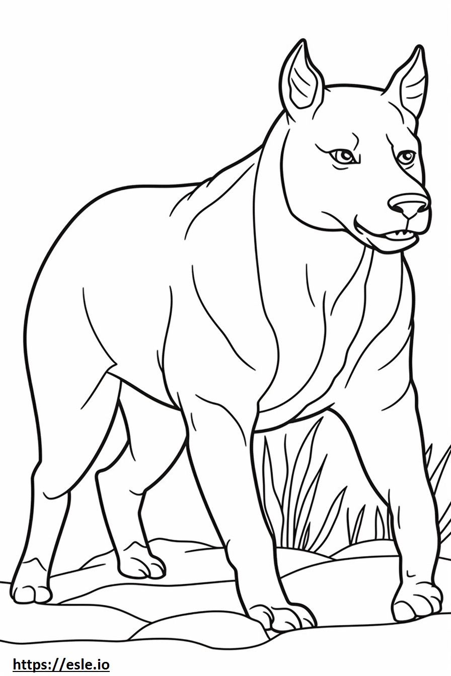 Australianbulldoggiystävällinen värityskuva