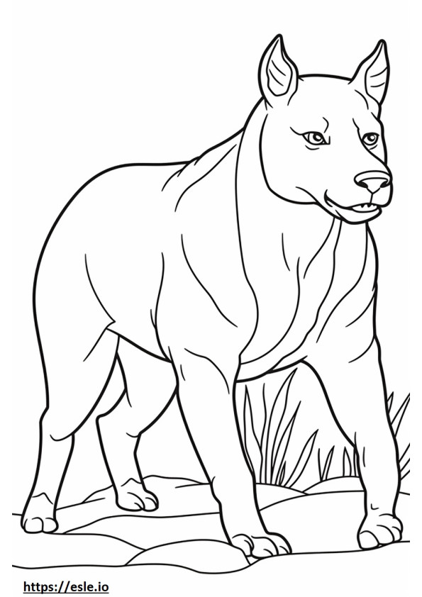Australische Bulldog-vriendelijk kleurplaat