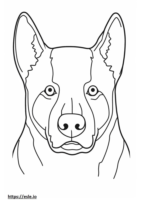 Ausztrál szarvasmarha kutya arca szinező