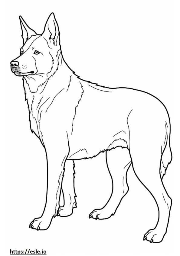 Australian Cattle Dog full body coloring page