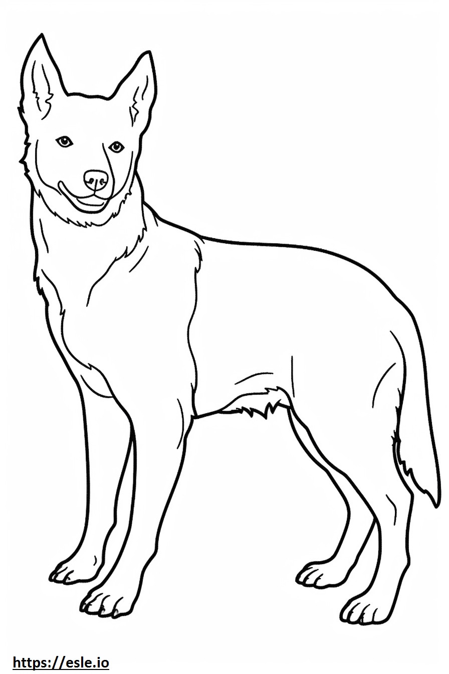 Australian Cattle Dog baby coloring page