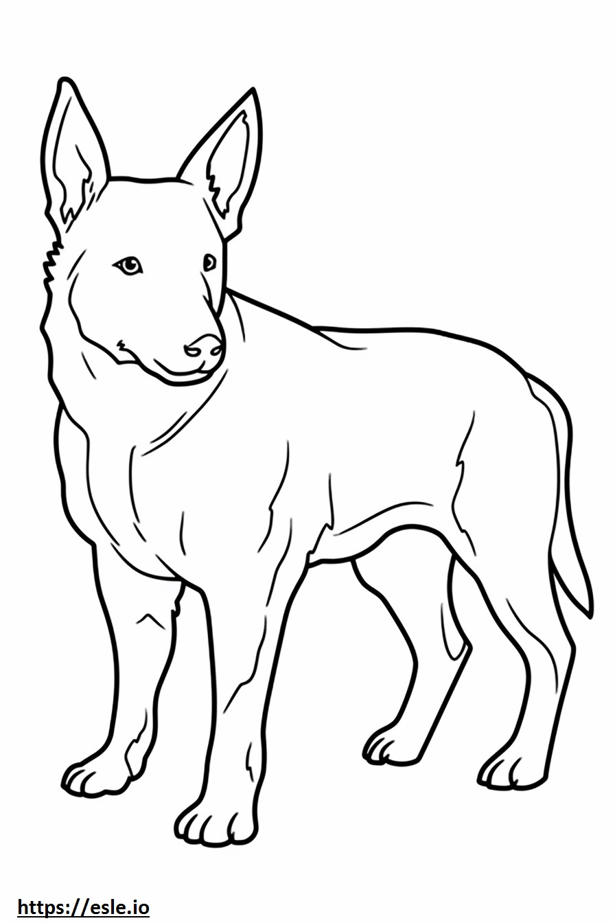 Australian Cattle Dog baby coloring page