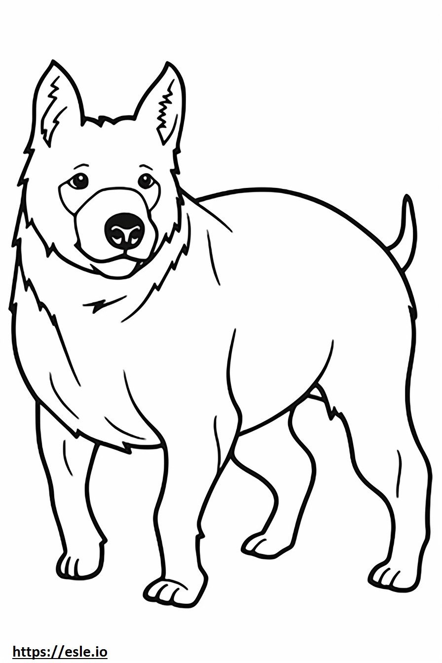 Ausztrál szarvasmarha kutya rajzfilm szinező