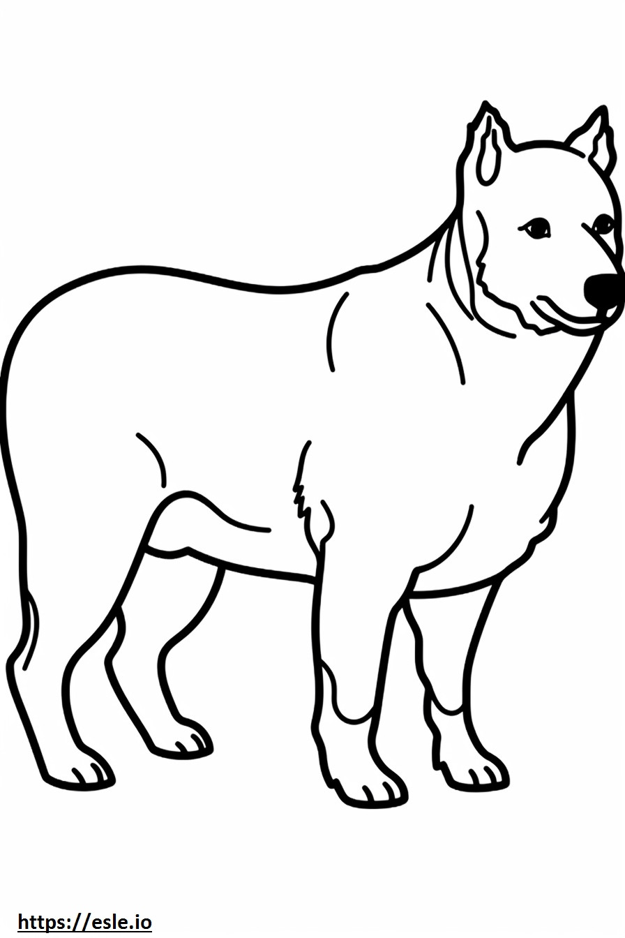 Australian Cattle Dog cartoon coloring page