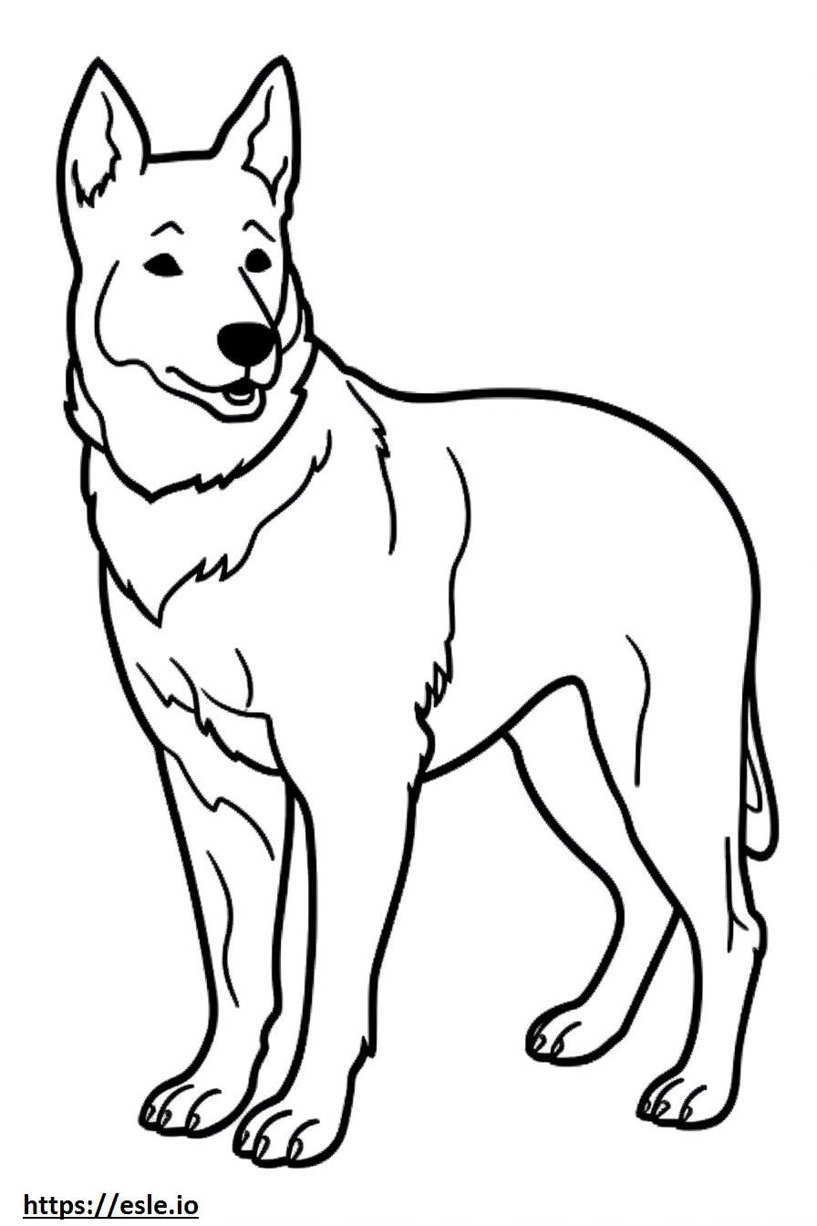 Dibujos animados de perro de ganado australiano para colorear e imprimir