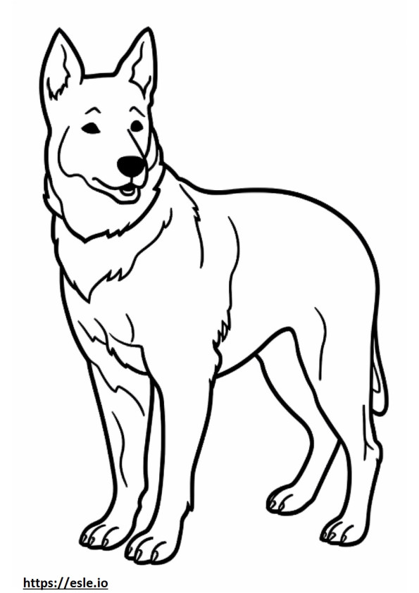Australian Cattle Dog cartoon coloring page