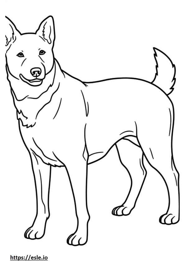 Desenho de Cão de Gado Australiano para colorir