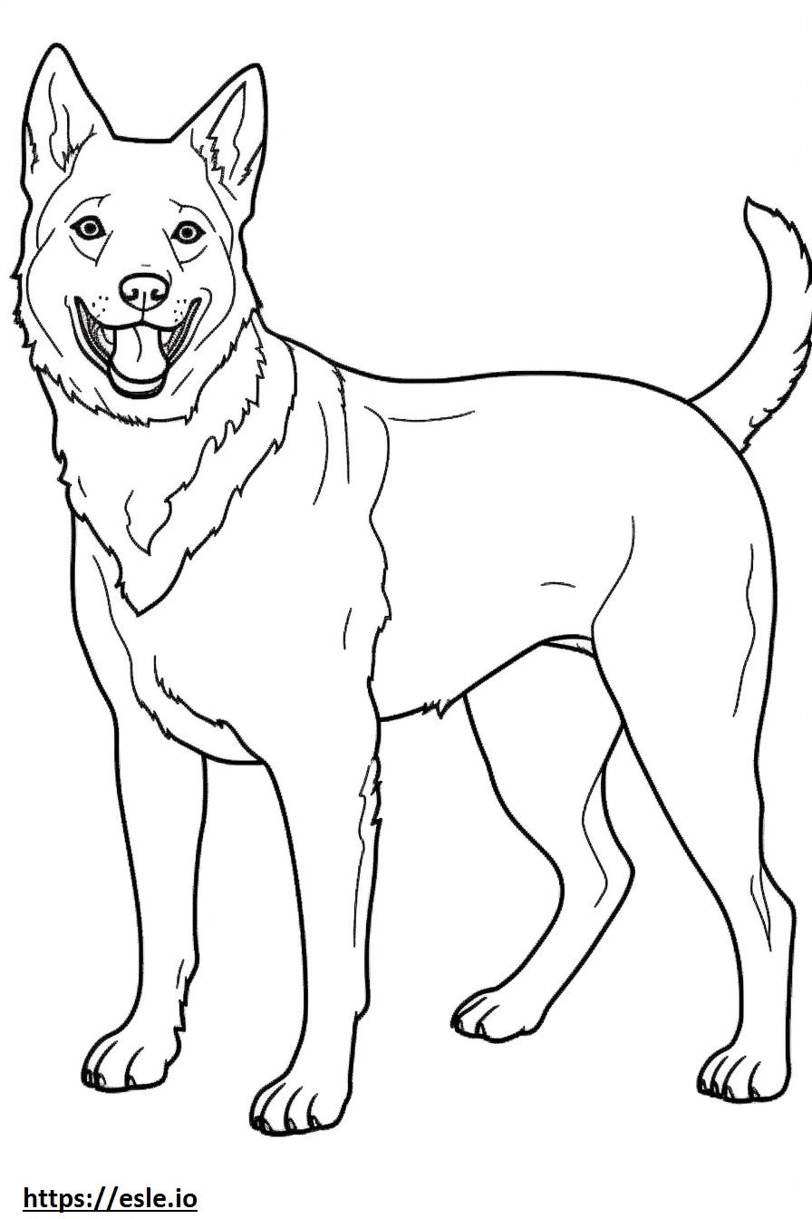 Australian Cattle Dog happy coloring page