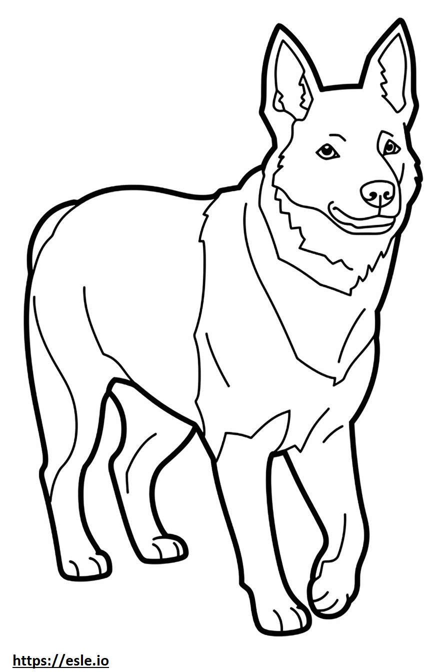 Australian Cattle Dog cute coloring page