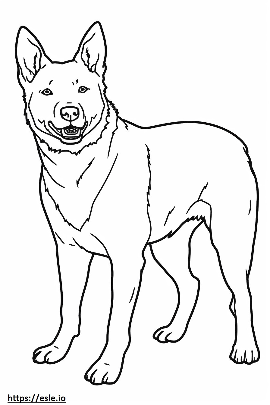 Australian Cattle Dog happy coloring page