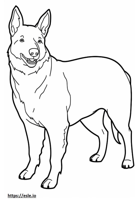 Câine de vite australian fericit de colorat